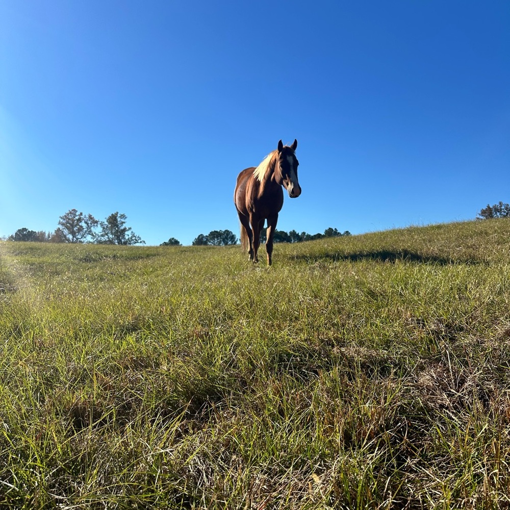 Meet your Posher, Jill